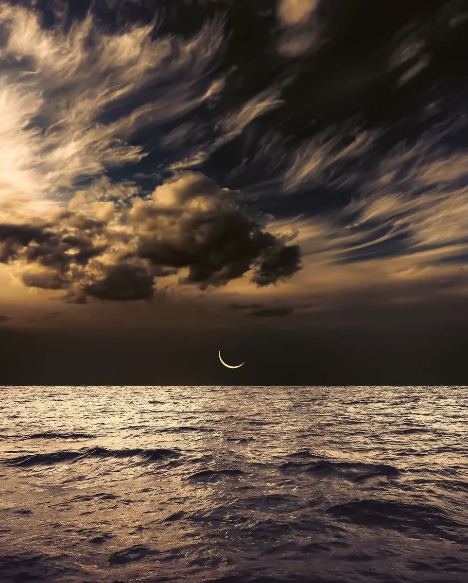 بحر 🌊 tweet media