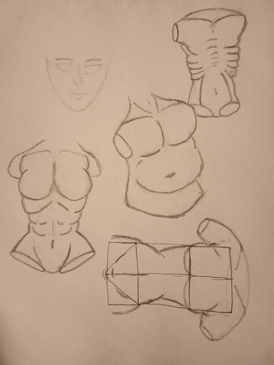 StLonLon's tweet photo. Just some practices.
#anatomy https://t.co/cSISWqgfYi