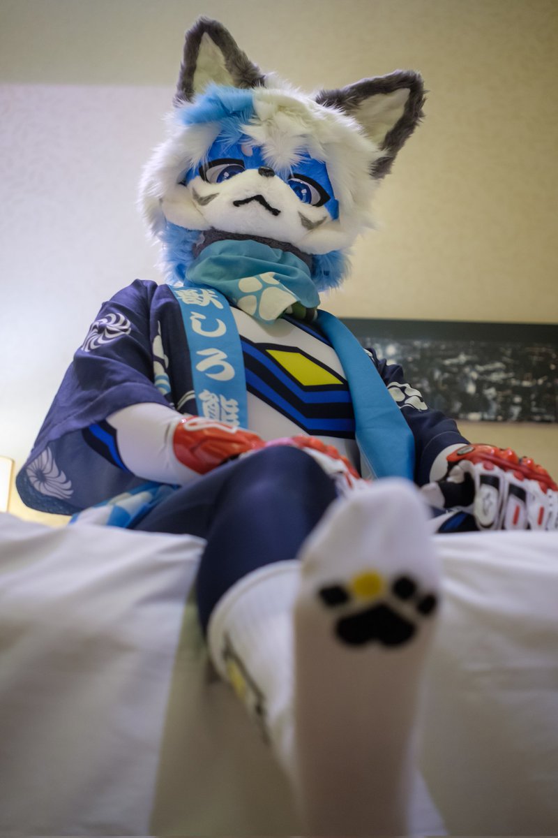 Shi-Ro丶 tweet media