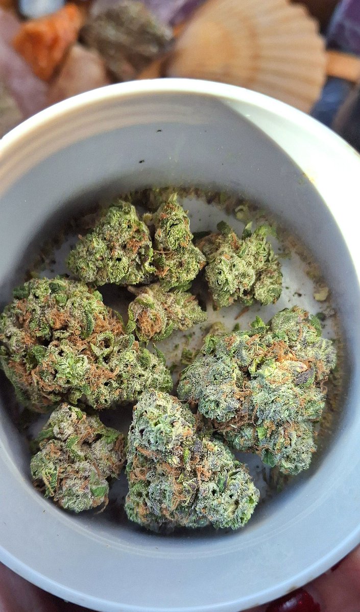 ChrisHummings's tweet photo. Chocolate Cherry OG🩷🍫🍒💨 https://t.co/jqlFF6Gtee