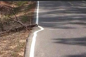 MarkSpeckman's tweet photo. Don't be that guy....... https://t.co/kIxLSdYZjy