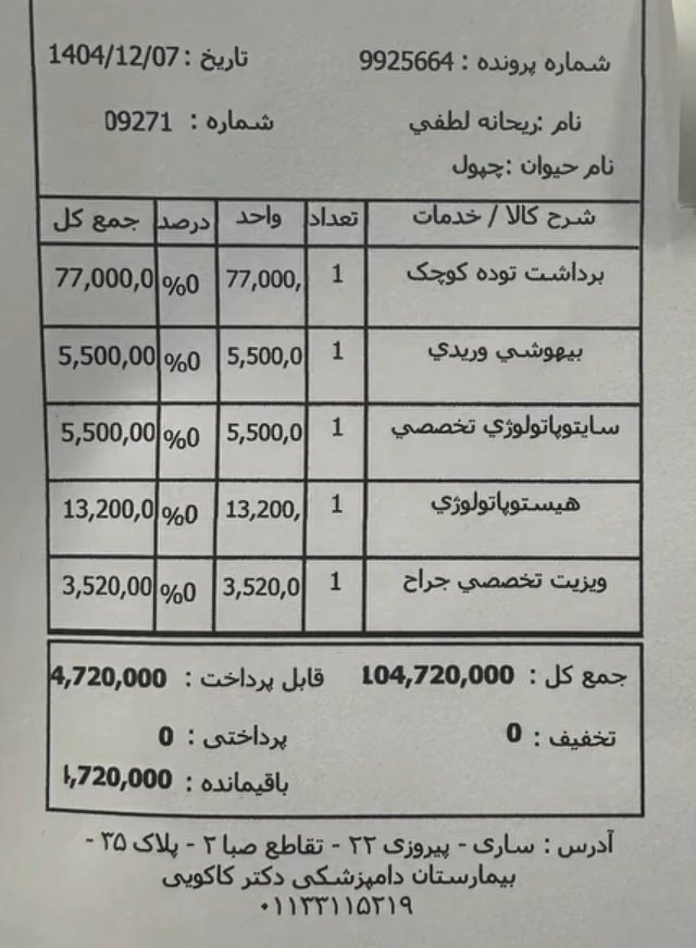 برای گربه های بومی tweet media
