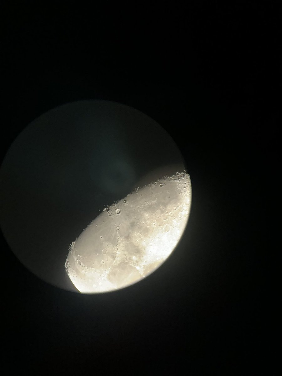 julescifer tweet media