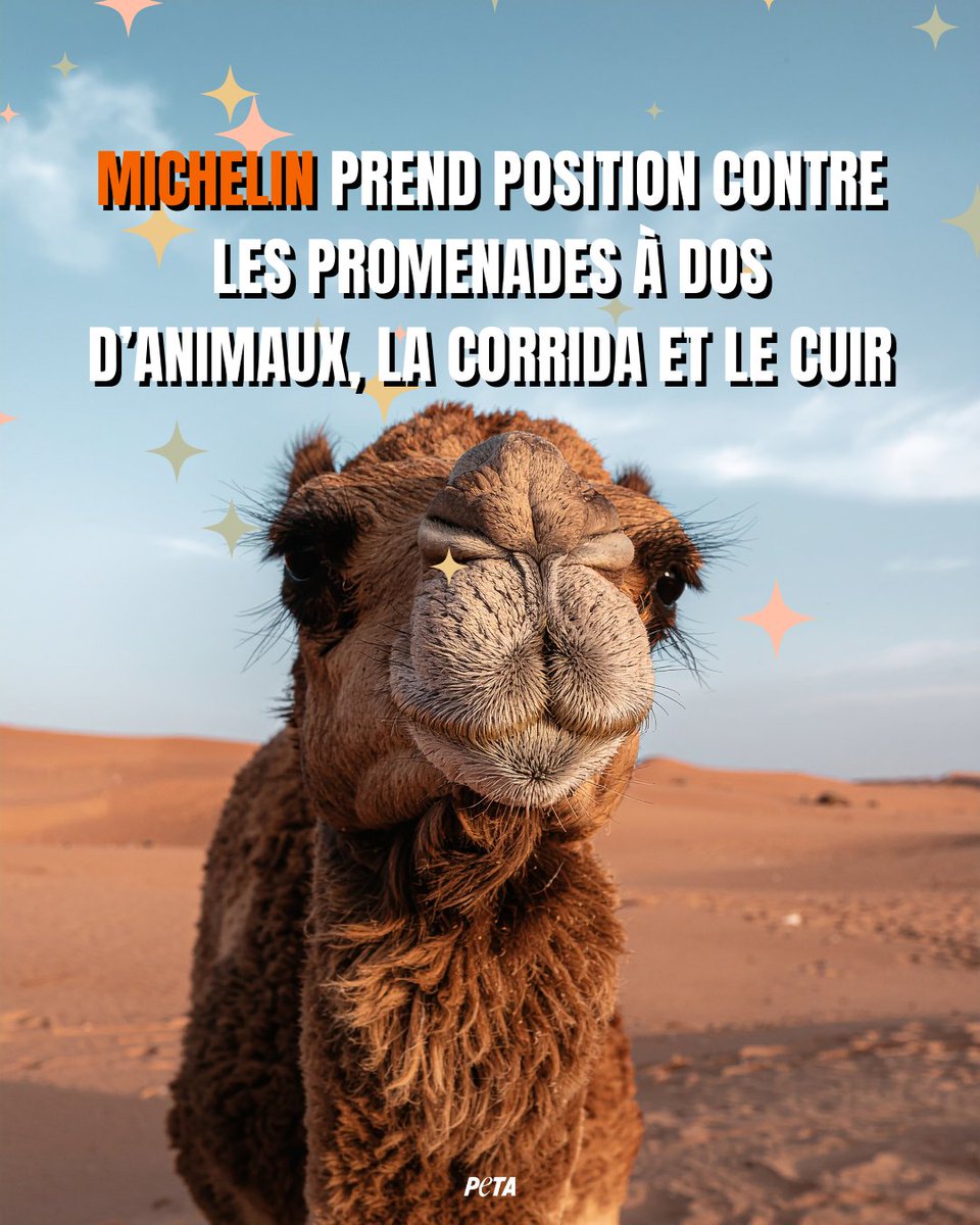 PETA France tweet media
