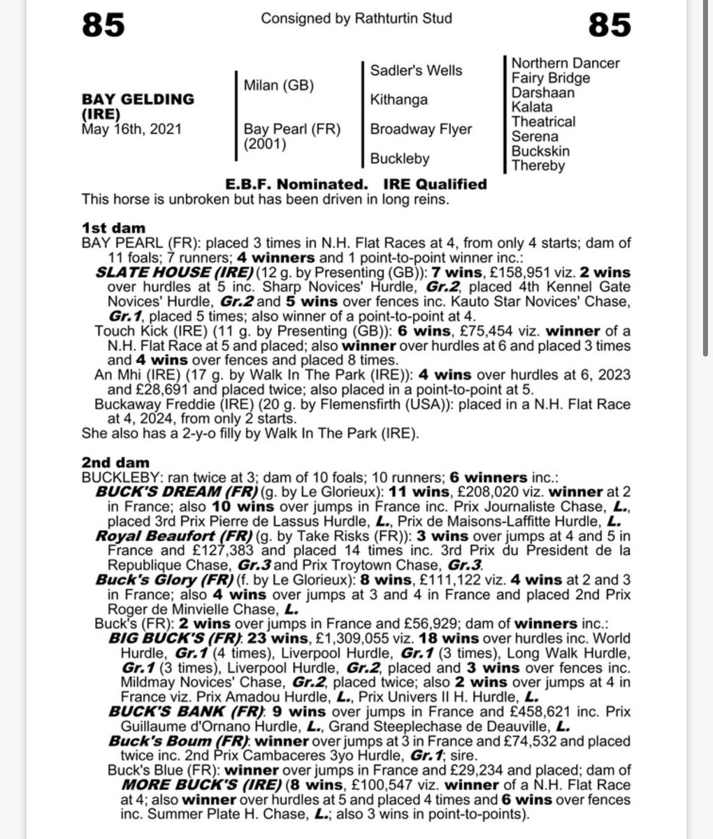 TomMaloneBloodstock tweet media