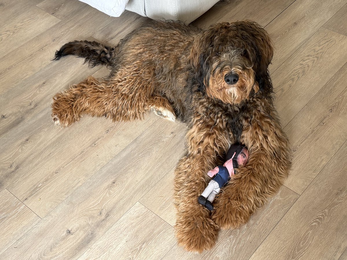Cds2205's tweet photo. Loving her new Hank doll @PardonMyTake https://t.co/ZlhXfn0rKl