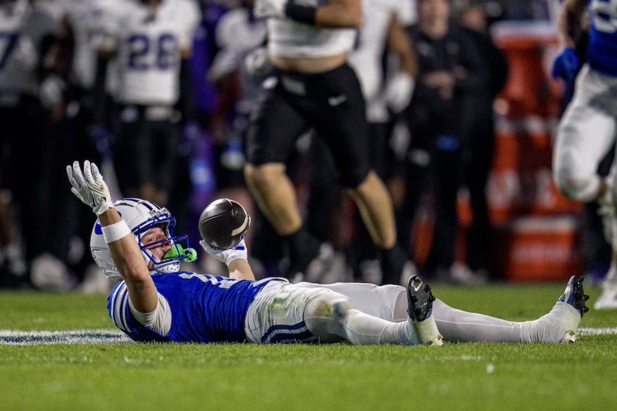 Courtney Tanner tweet media