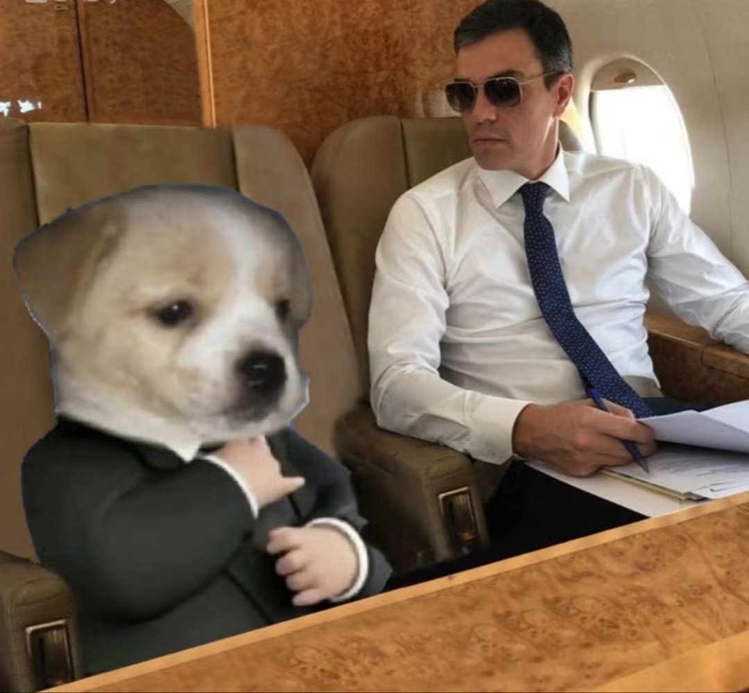 España tiene al Perro Sanxe