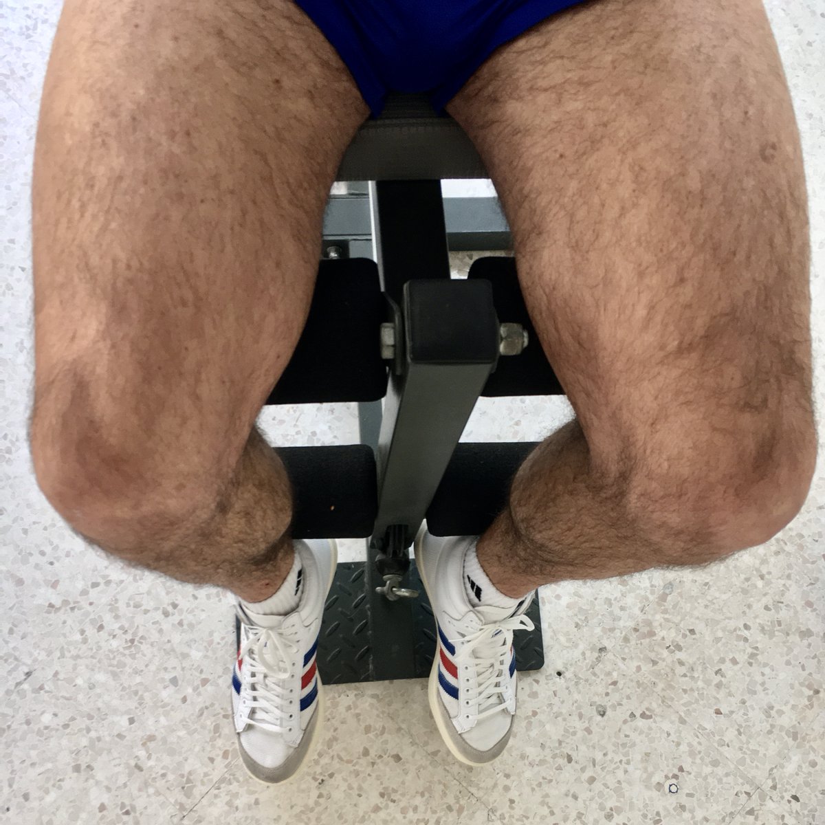🇫🇷 Alpha Sneaker Sub (base) = ASS tweet media