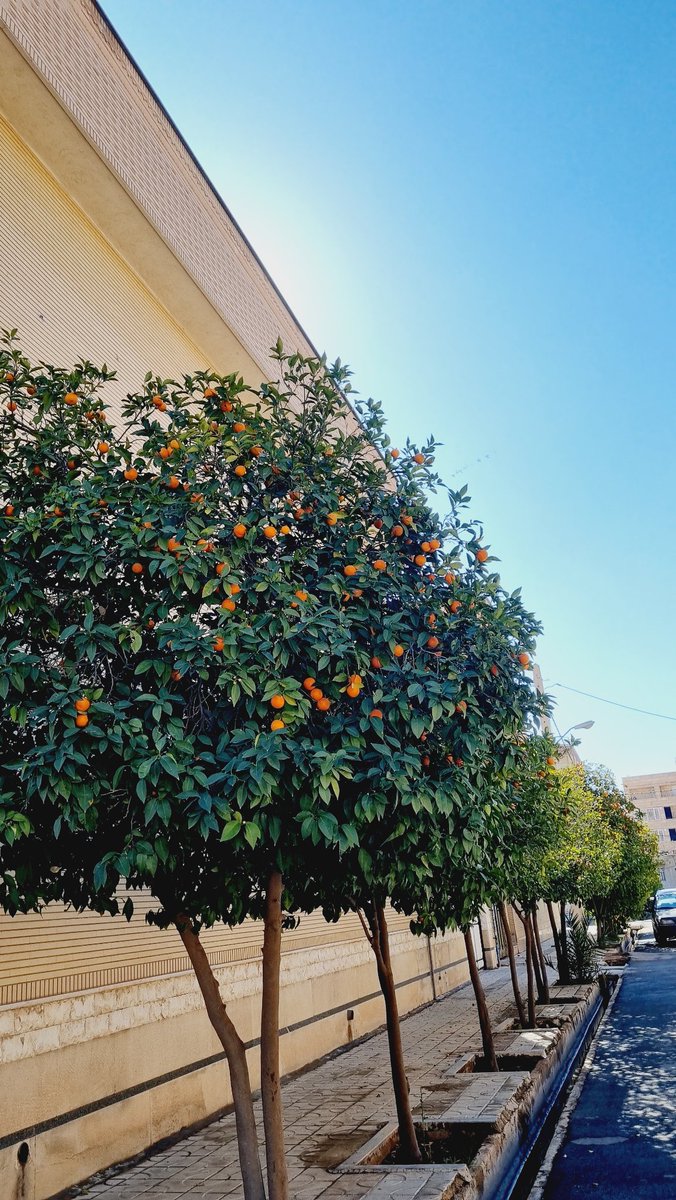 همونی‌که‌‌ماه‌شب‌تاب‌می‌سازه🌙 tweet media