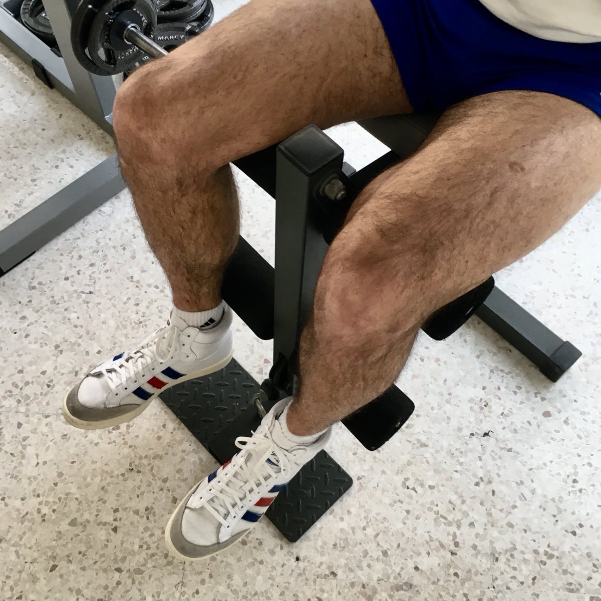🇫🇷 Alpha Sneaker Sub (base) = ASS tweet media