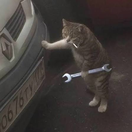 Jorge🐧 tweet media