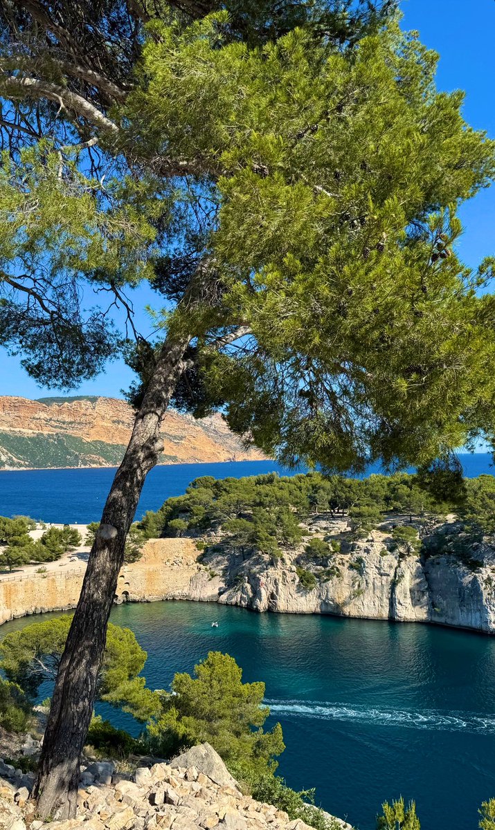 hichembkhh's tweet photo. février dans le Sud c’est carré hein https://t.co/F3yl963ztV