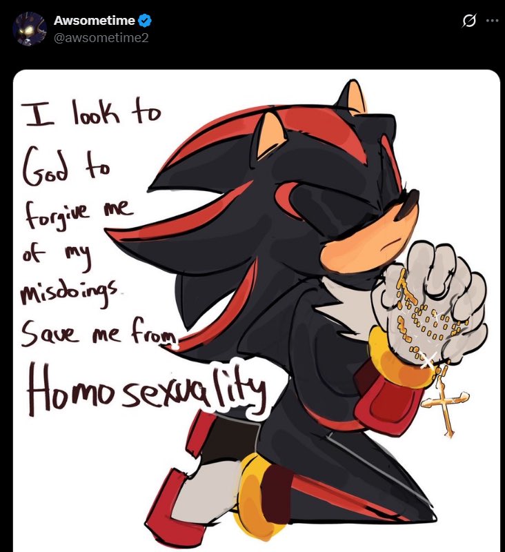 It’s funny how they claim to be homophobic but draw Shadow looking gay asf😭