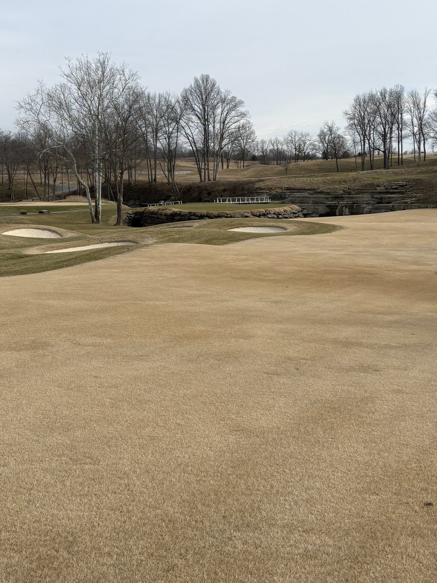 Kevin Wolfe tweet media