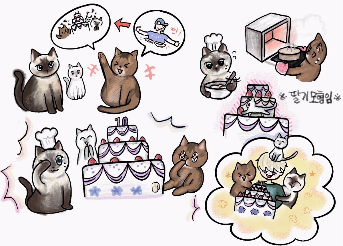 테니 생일 축하해!!
<루리레의 요리교실🎂>

+딸기모형입니다..😅
#테니생일이야_안나줘 
#HAPPYTENDAY