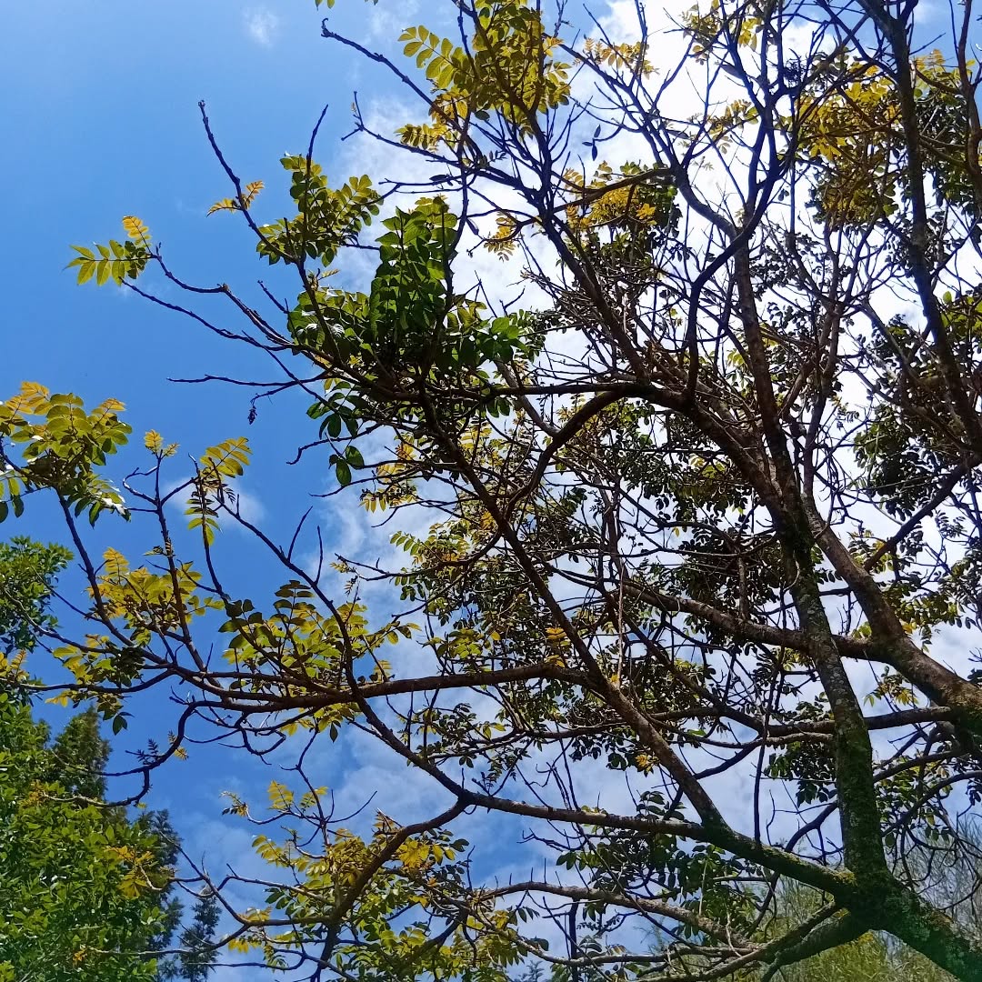 A photo that you took today thread 🧵 anyone?