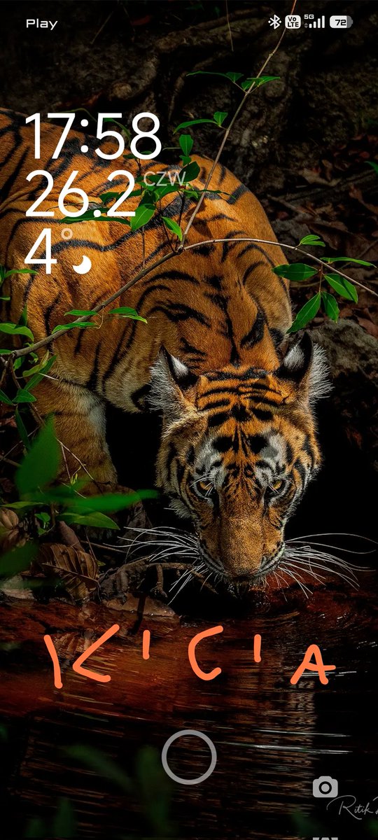 MarioQlins (@qlinss) on Twitter photo 