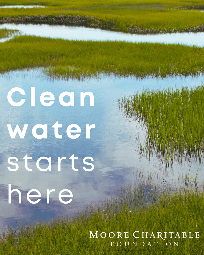 Moore Charitable tweet media