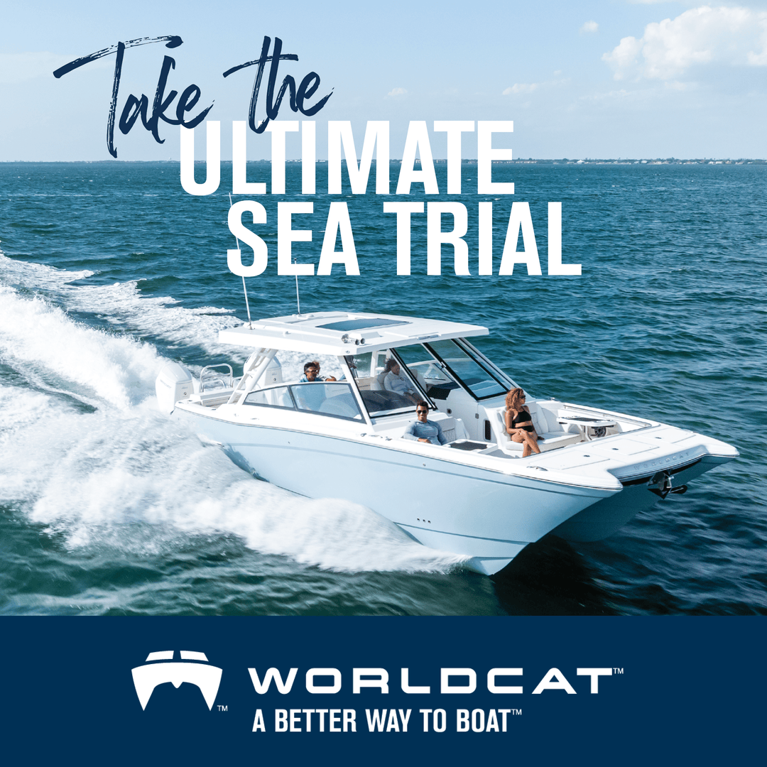 World Cat Boats tweet media