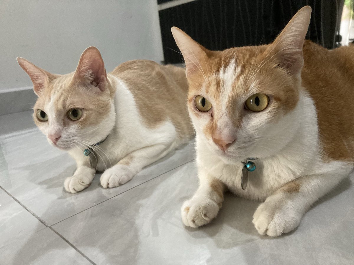 On three, we go, okay? One… two…😎🤨🫨