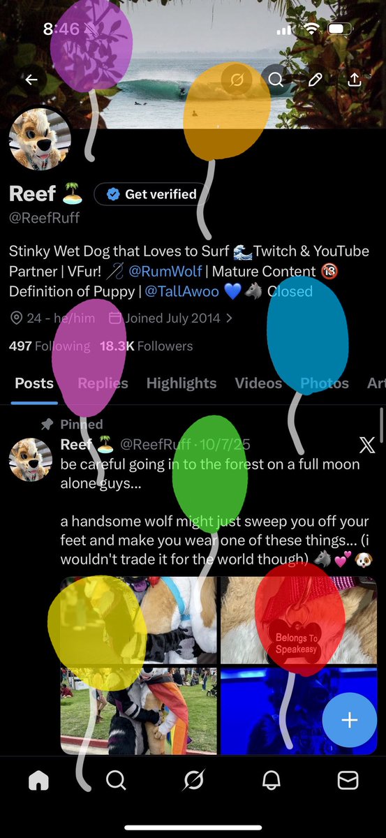 Reef 🏝️ 🔜 LVFC tweet media