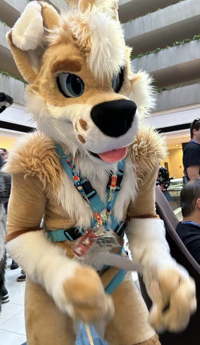 Reef 🏝️ 🔜 LVFC tweet media