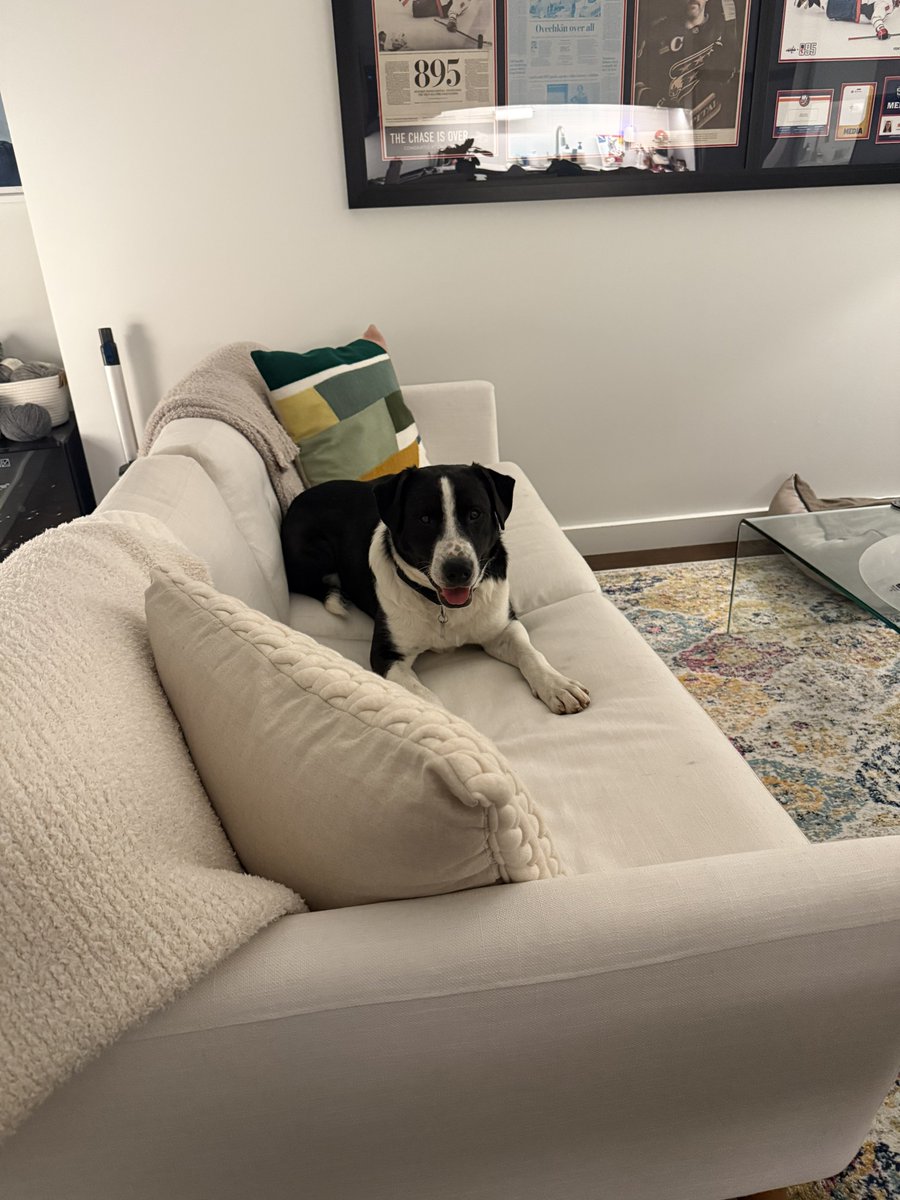 Bailey Johnson tweet media