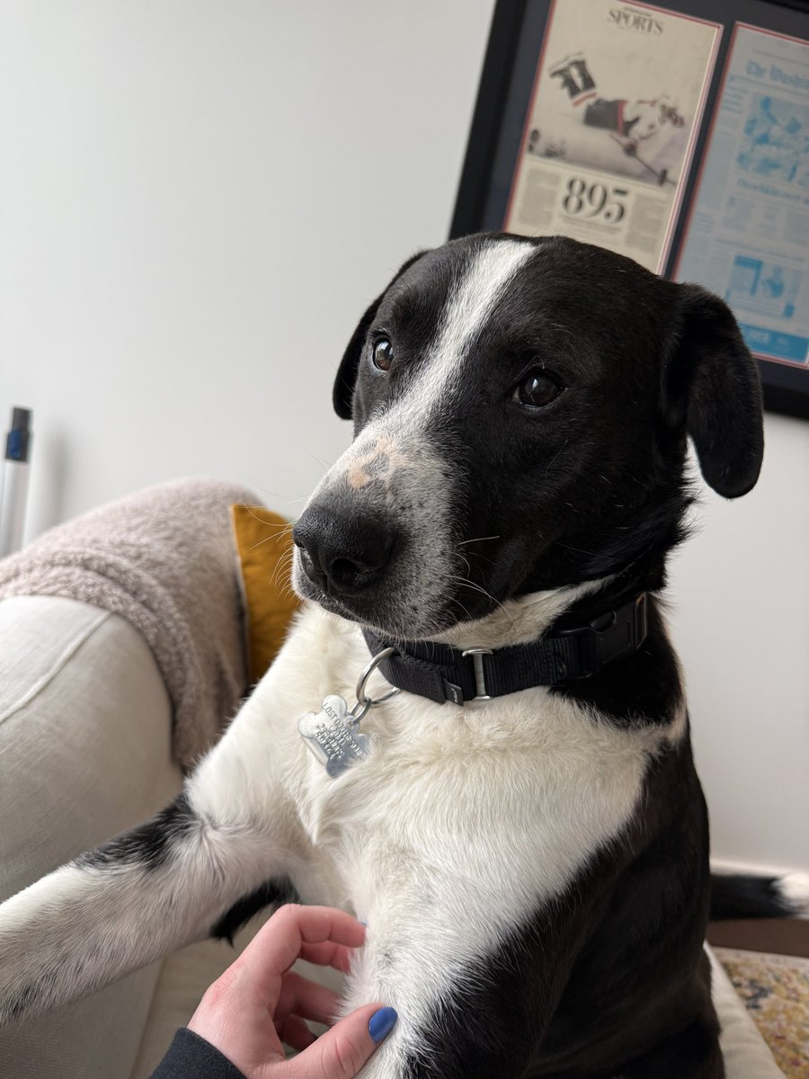 Bailey Johnson tweet media