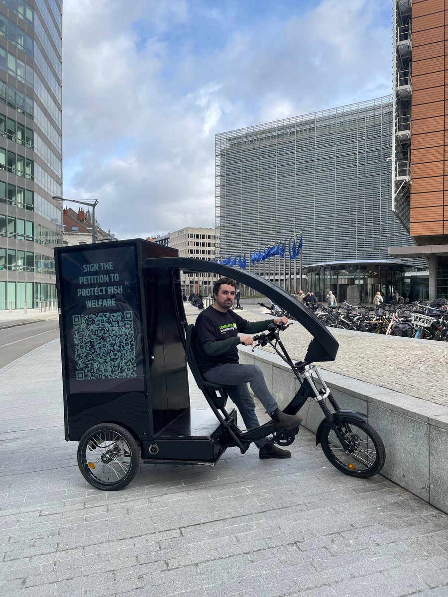 CIWF Nederland tweet media