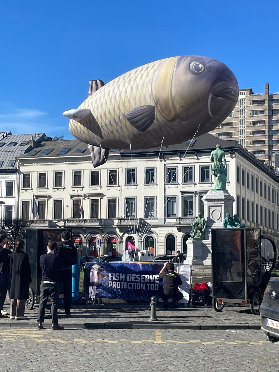 CIWF Nederland tweet media