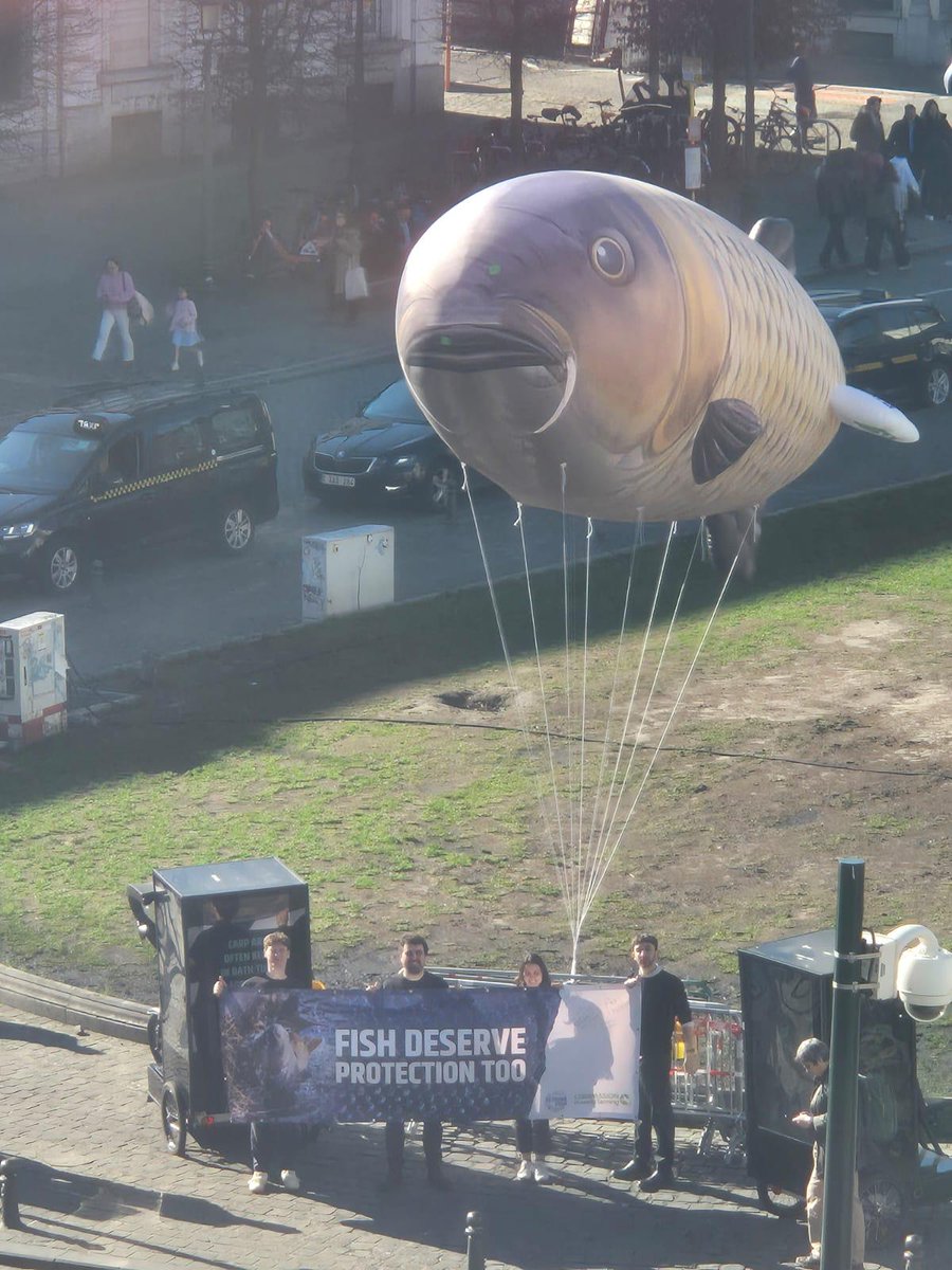 CIWF Nederland tweet media