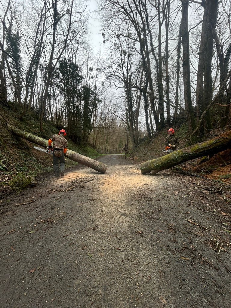 Chef d'état-major de l'armée de Terre tweet media