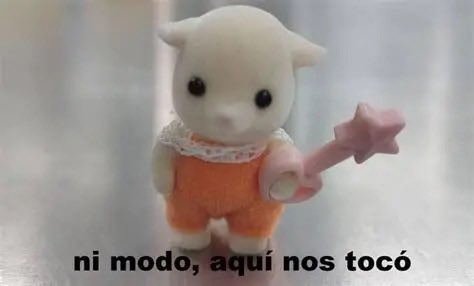 𝒄𝒉𝒖𝒍𝒆 𝜗𝜚 tweet media