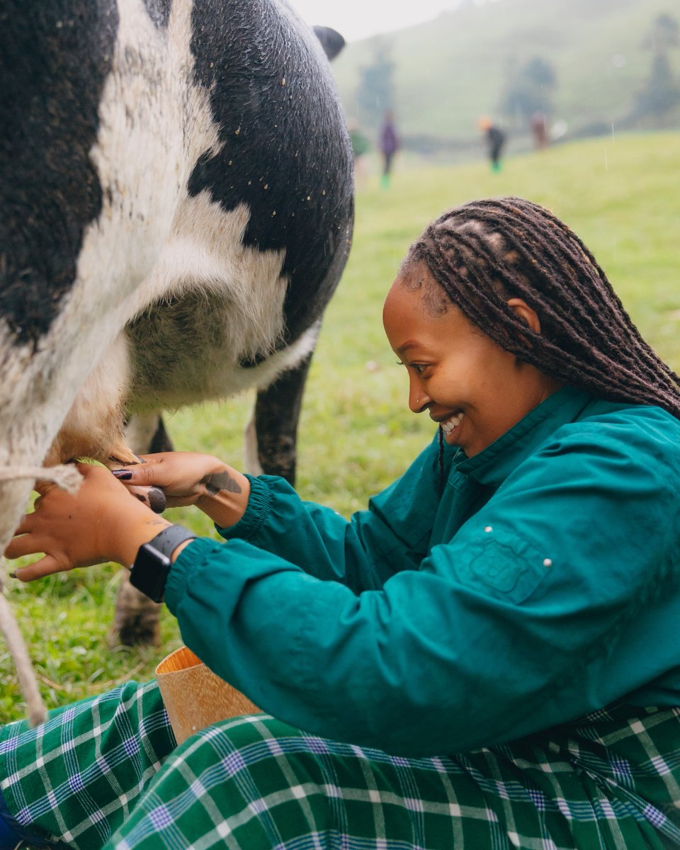 visitrwanda_now's tweet photo. Highland landscapes, open skies, and iconic long horned cattle define Ibere Rya Bigogwe, one of Rwanda’s most striking high altitude settings, best explored at a slower pace.

#TdRwanda2026 | @Ngabo_Karegeya https://t.co/MCel1zcZVs