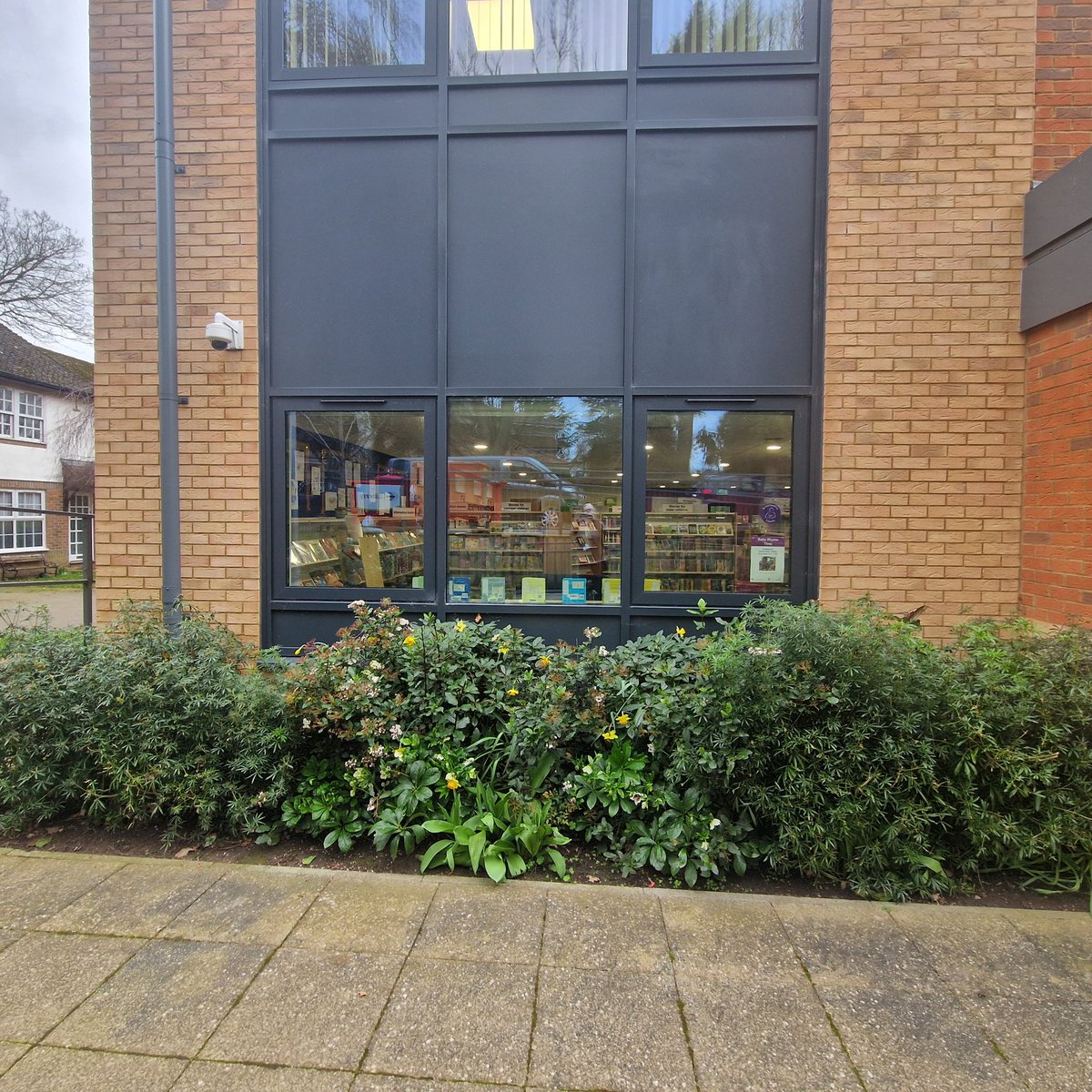 KnebCommLibrary's tweet photo. Spring has started at Knebworth Community Library- now is not raining (as much),the weathers getting warmer &amp; the days lighter &amp; longer why not pay us a visit

#KnebworthCommunityLibrary #LocalLibrary https://t.co/o9rgKQyPnC