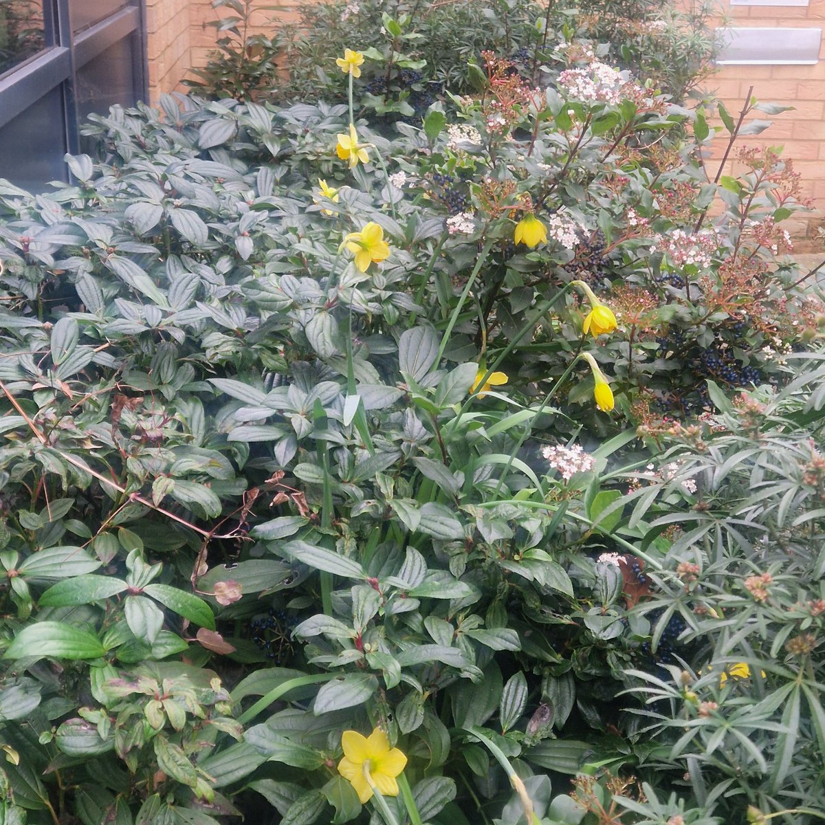 KnebCommLibrary's tweet photo. Spring has started at Knebworth Community Library- now is not raining (as much),the weathers getting warmer &amp; the days lighter &amp; longer why not pay us a visit

#KnebworthCommunityLibrary #LocalLibrary https://t.co/o9rgKQyPnC