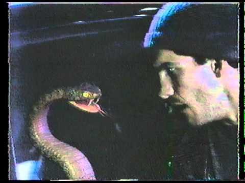 Don't Let's Start: A Podcast About TMBG tweet media