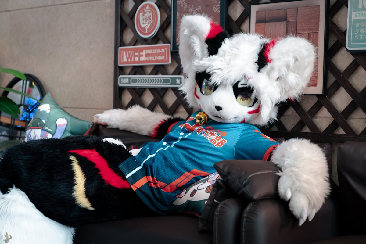 淅漓🔜Wff冬兽聚 tweet media