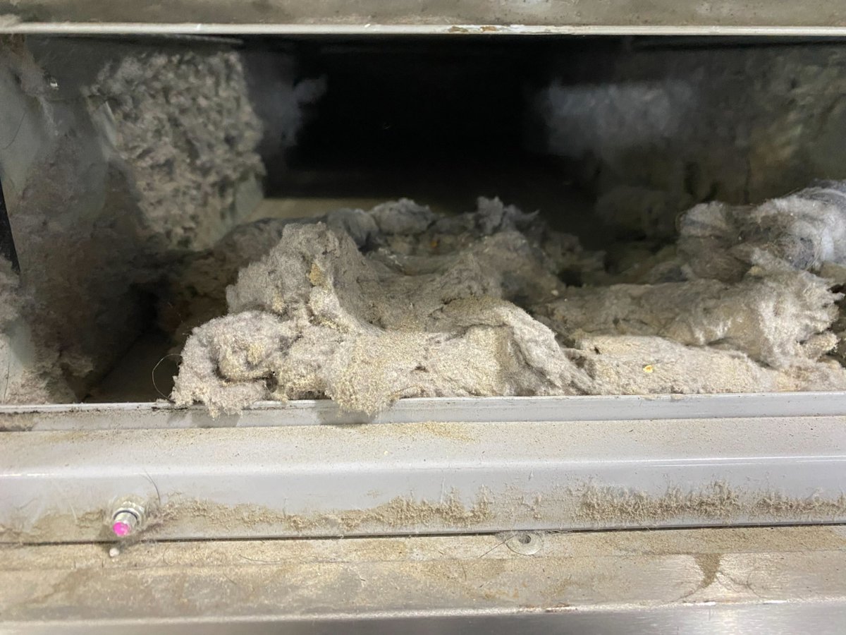 Mark Vlaskamp tweet media