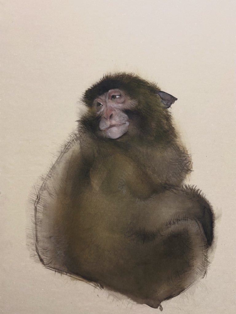 三村 南 tweet media