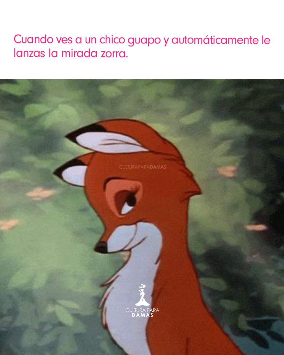 Cultura Para Damas (@culturaparadama) on Twitter photo 