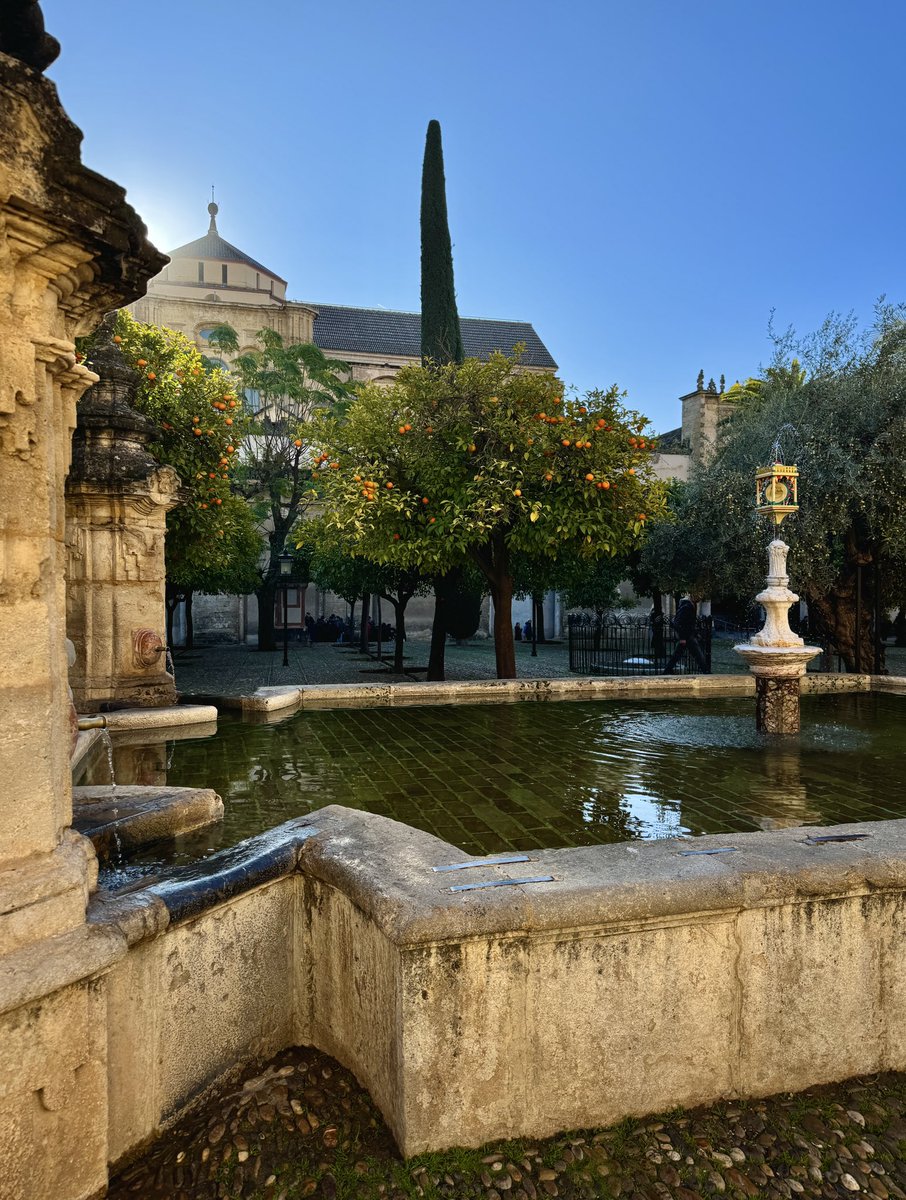 Kurtuba Camii ve portakal ağaçları. Bir avlu anca bu kadar güzel olabilir.