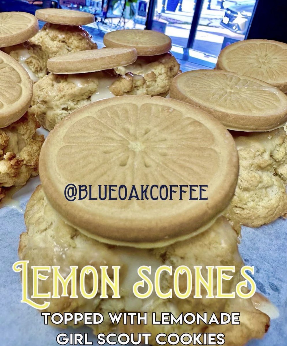 Good morning, we just made our lemon scones (using locally grown lemons)  topped with Lemonade Girl Scout Cookies! Always look forward to making these every year during cookie season, and proud to support the Girl Scouts. They work hard all year, especially right now!