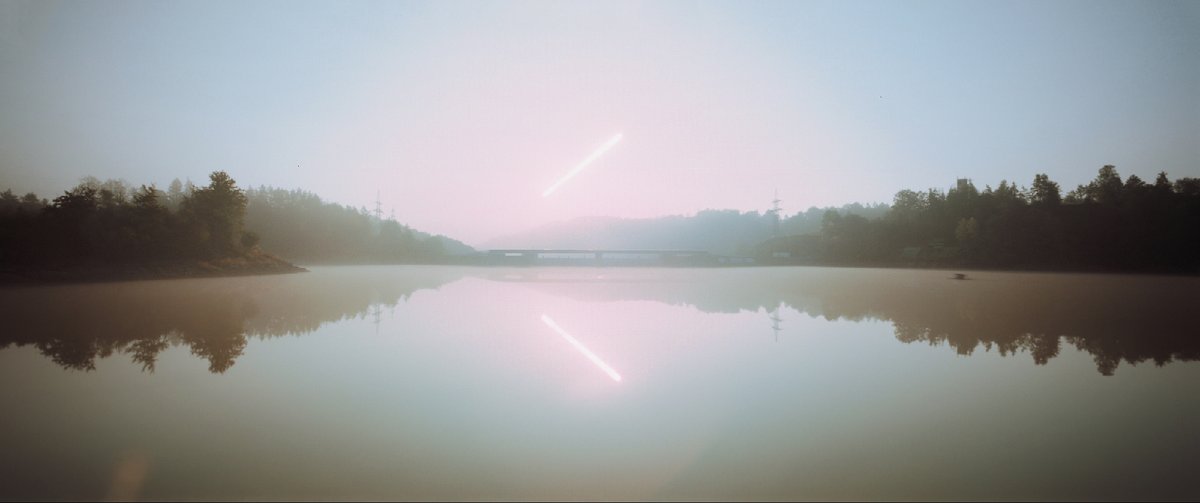 Daniel Kasman tweet media