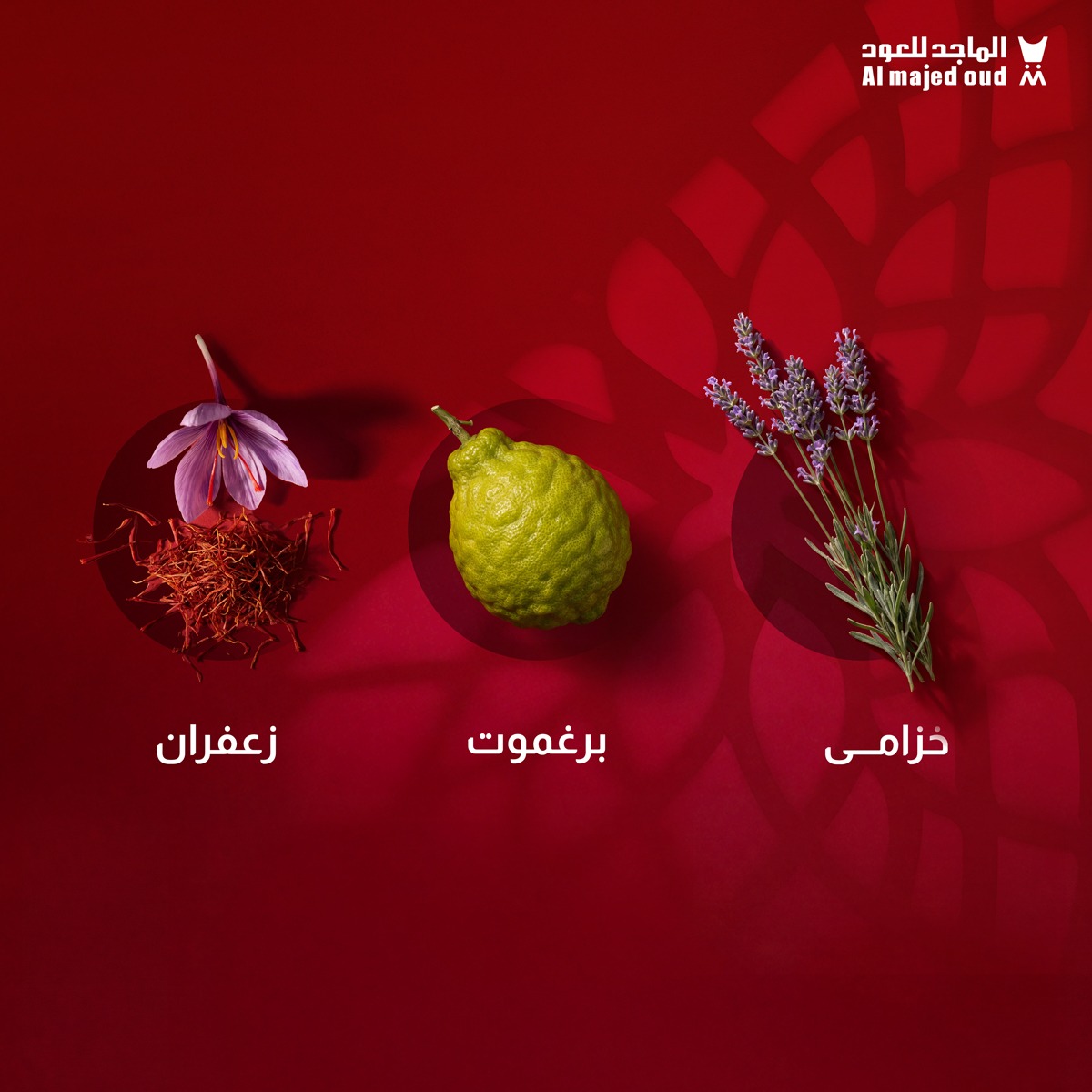 الماجد للعود tweet media