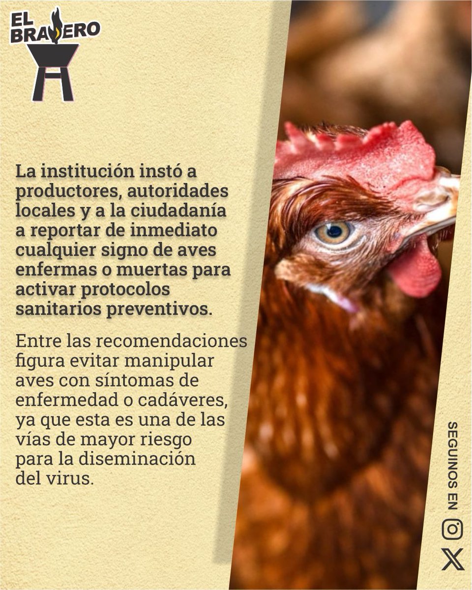 ElBraseroPy tweet media