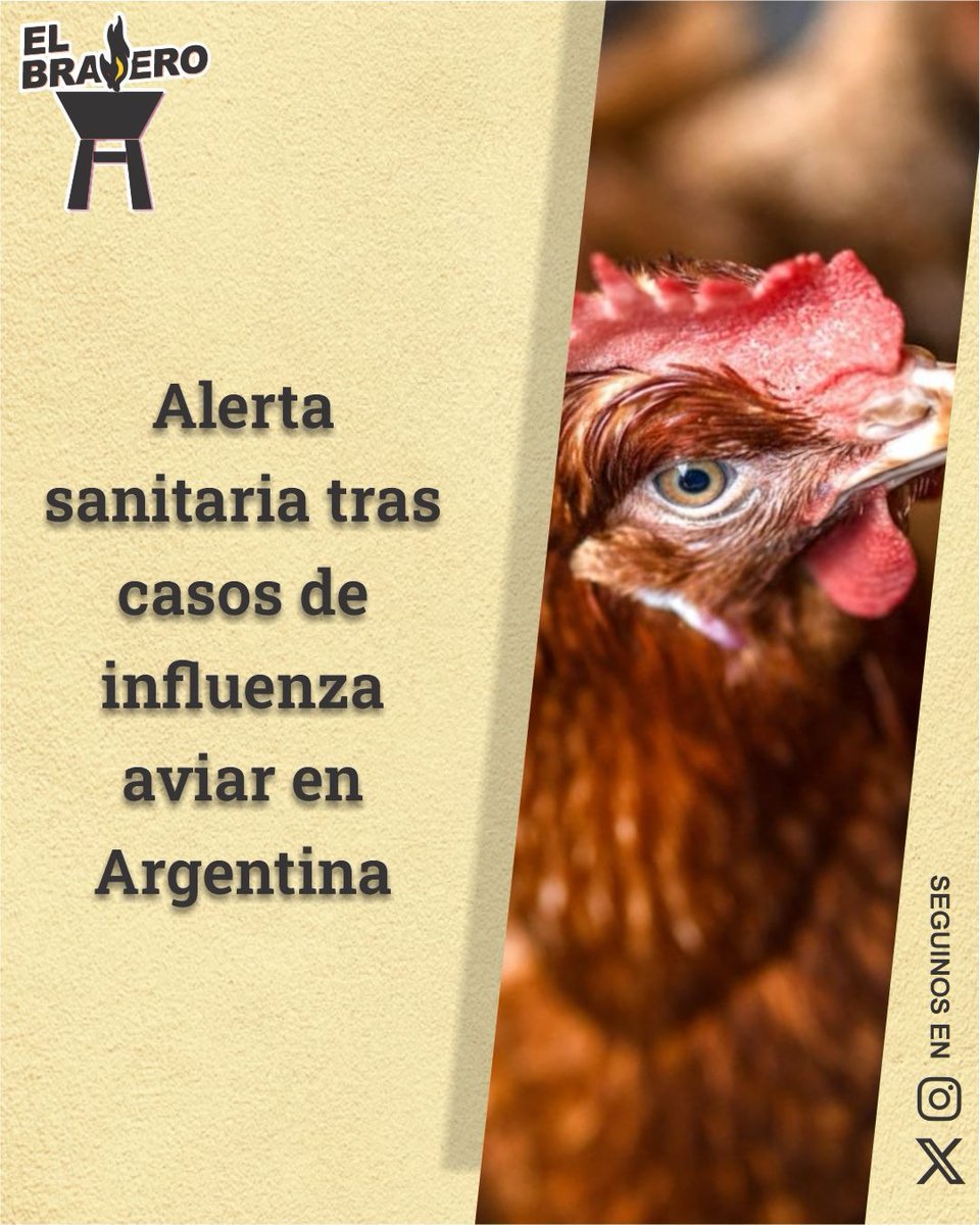 ElBraseroPy tweet media