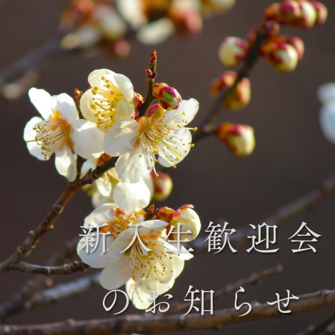 新入生歓迎会 開催のお知らせ】 3/18(水)と3/19(木)の2日間で 新入生