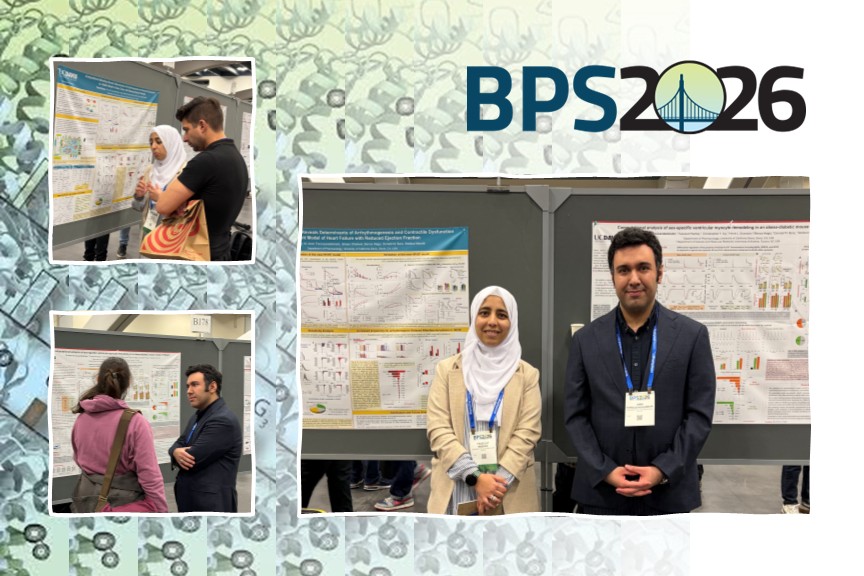 Stefano Morotti tweet media